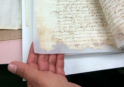 Foto de mano sosteniendo documento antiguo con injertos en el papel