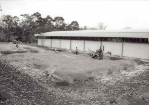 Foto antigua del terreno donde se construyó el Archivo Intermedio, se ve tractor