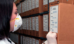 Foto de mujer con mascarilla acomodando una caja de archivo en el estante